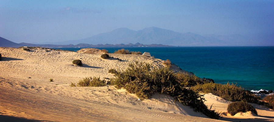 A highlight in the north of the island: the dunes of Corralejo