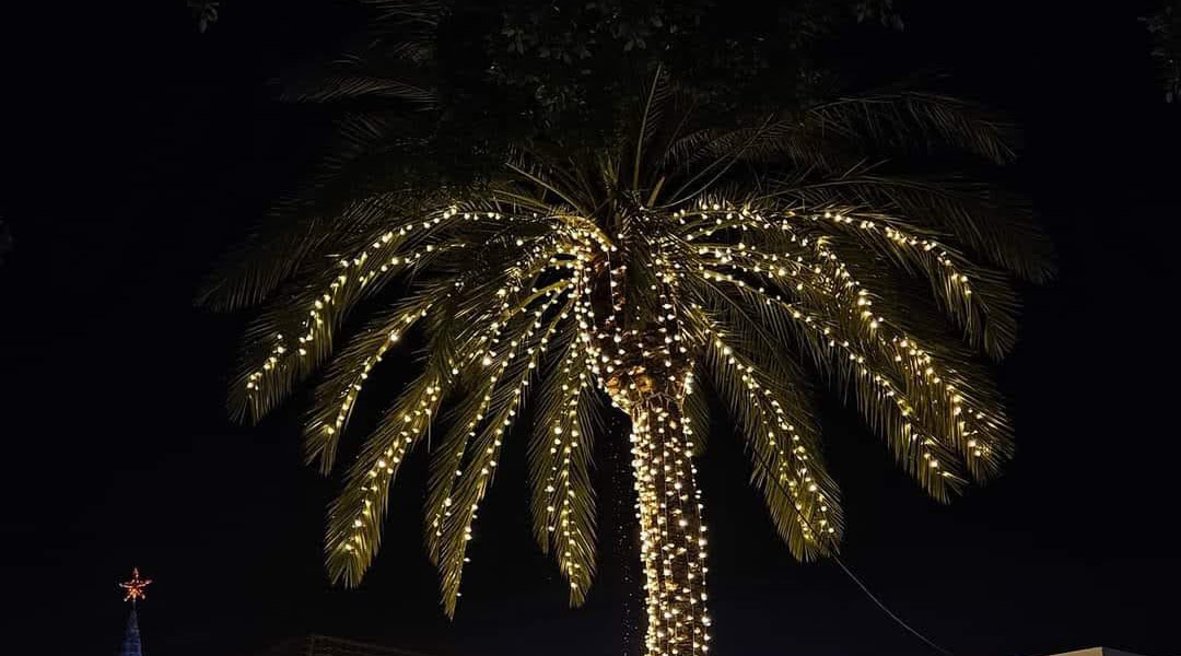 christmas on the canary islands - christmas lights palmtree