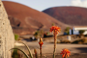 Fuerteventura