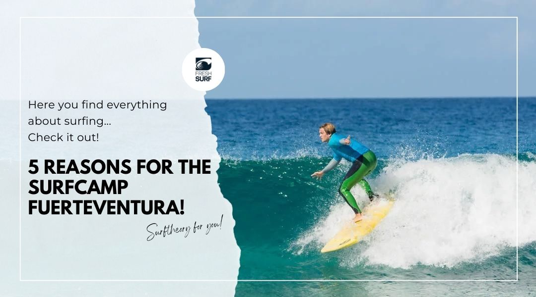 5 Reasons for the Surfcamp Fuerteventura – come and learn to surf with us!