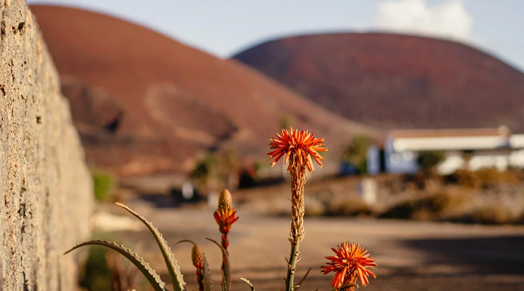 gründe für das surfcamp fuerteventura umgebung