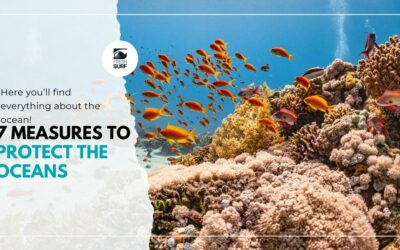 7 simple measures to protect the oceans