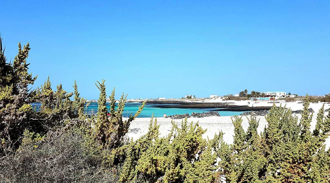 surfen für körper und geist strand